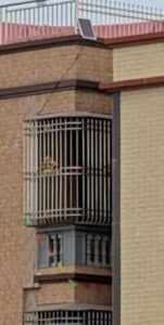 Image Editor Output Image 87709121 17689172826896399128645848910282 151x300